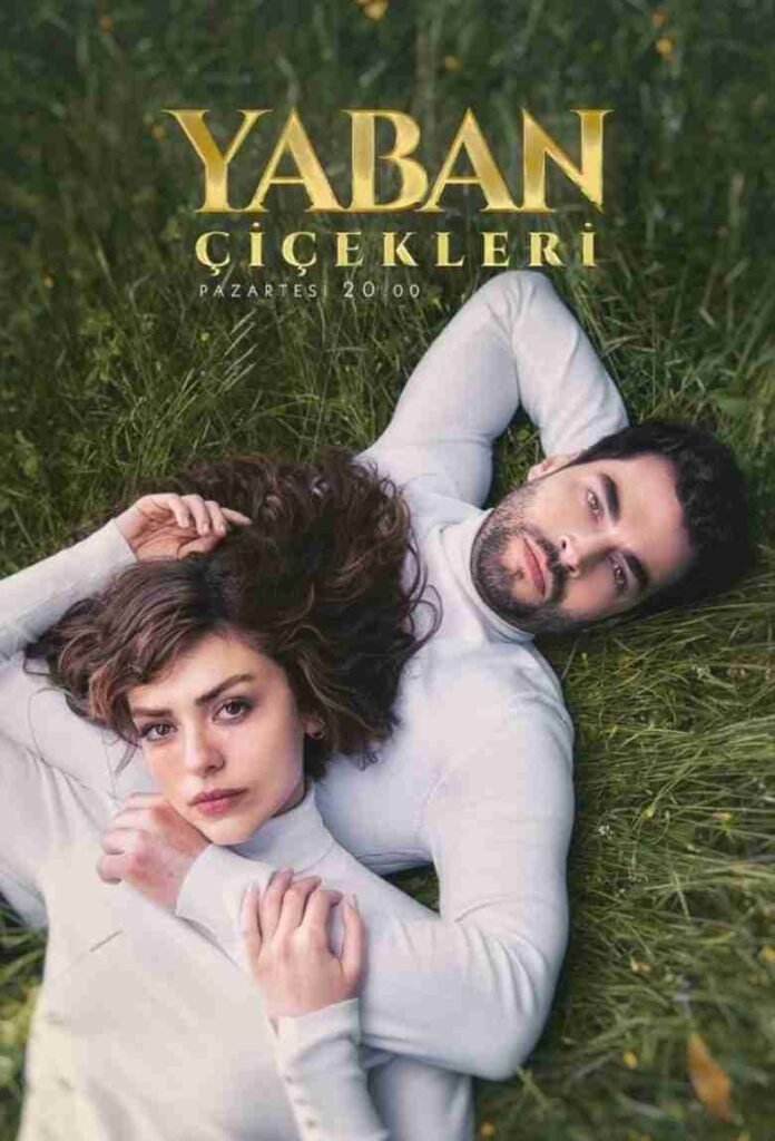 Yaban Çiçekleri affiche