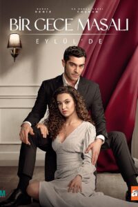 Bir Gece Masali, Conte d'une nuit