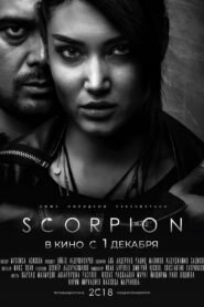 Scorpion VOSTFR