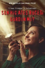 Le Secret des lucioles VOSTFR
