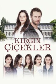 Kırgın Çiçekler VOSTFR