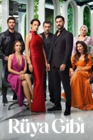 Ruya Gibi VOSTFR